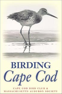 Birding Cape Cod